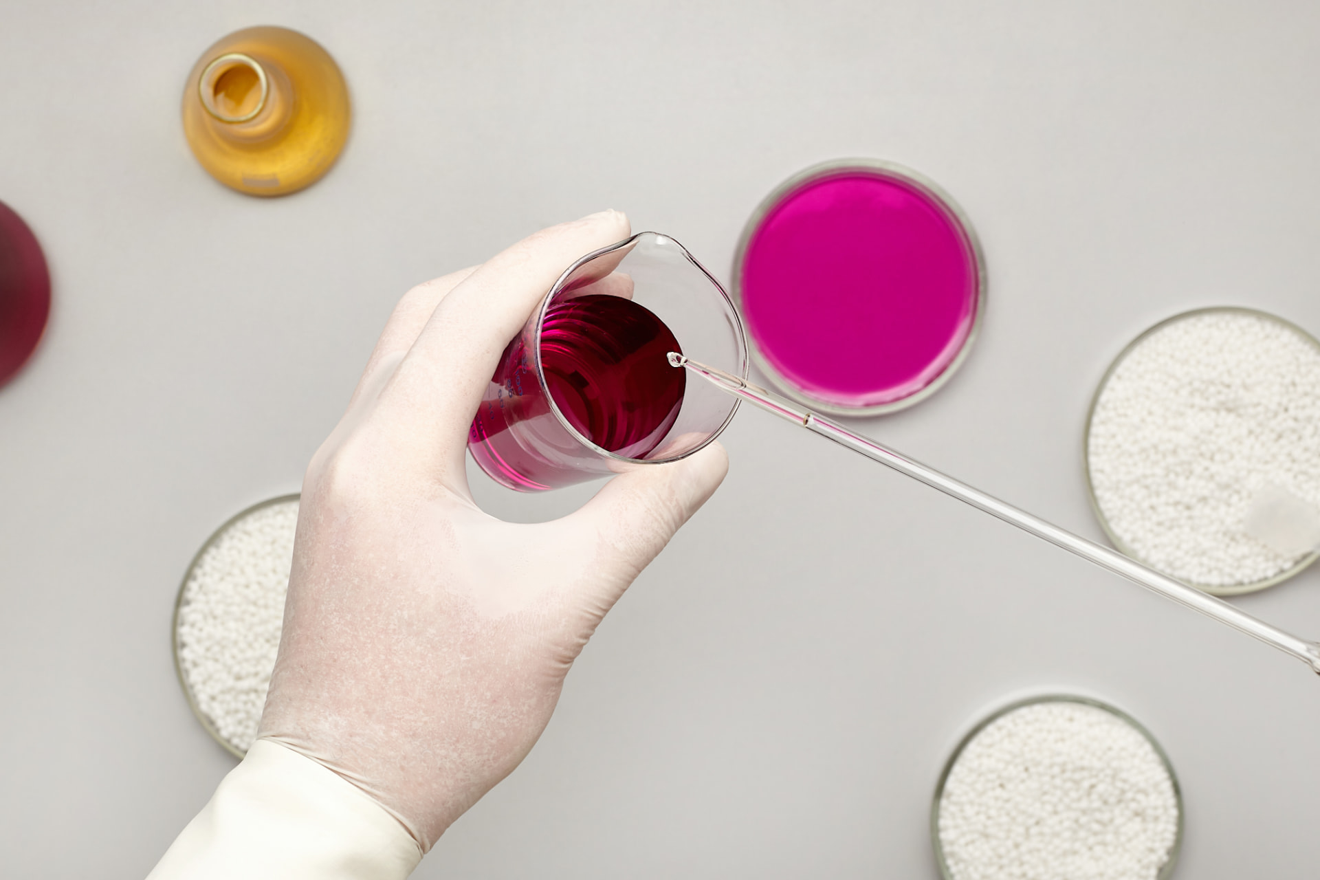 Pipette and Petri dishes in a laboratory